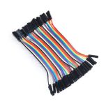 40 Pin Female to Female Jumper Cable 10 CM