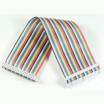 GPIO 40 pin ribbon cable