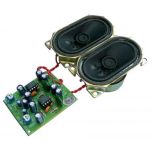 2   2W Power Amp Kit w/ Speakers image