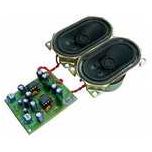 2   2W Power Amp Kit w/ Speakers image