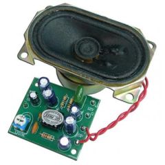 2 Watt Mono Power Amplifier w/ Speaker image