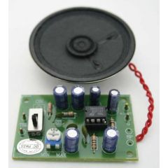 Two-Way Telephone Amplifier Kit with Speaker image