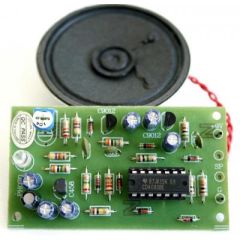 Intruder Alarm Kit with Delay Function image