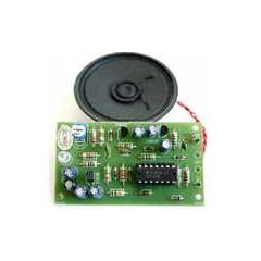 Intruder Alarm Kit with Delay Function image
