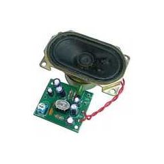 2 Watt Mono Power Amplifier Kit w/ Speaker image