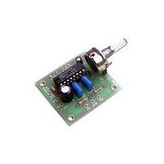 1W Stereo Audio Amplifier Kit image