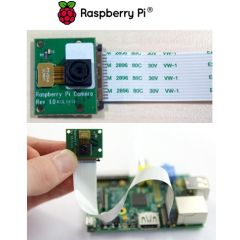 Raspberry Pi Camera Module image