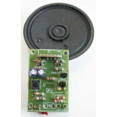 Witch Voice Kit image FK222