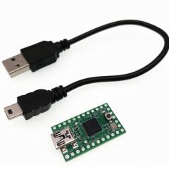 Teensy 2.0 with USB cable