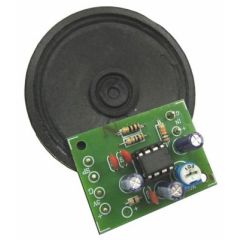 1 Watt Power Amp kit w Speaker image
