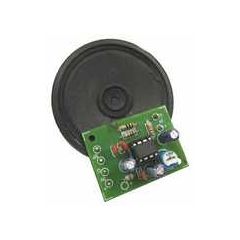 1 Watt Power Amp kit w Speaker image