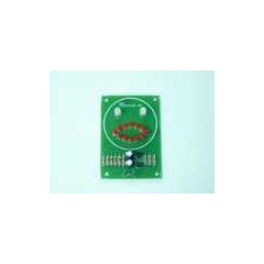 Mood Flasher Kit 14 LEDs image