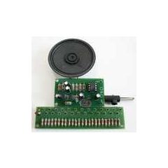 Melody Organ Kit 25 Tone image