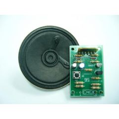 Lovely Message Voice Kit image