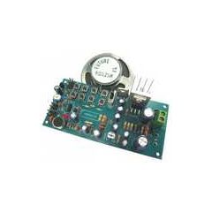 Voice Recorder with 8W Amp (680 Sec.) image